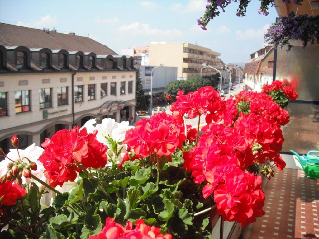 Tavas Barlang Apartman Tapolca Exterior foto